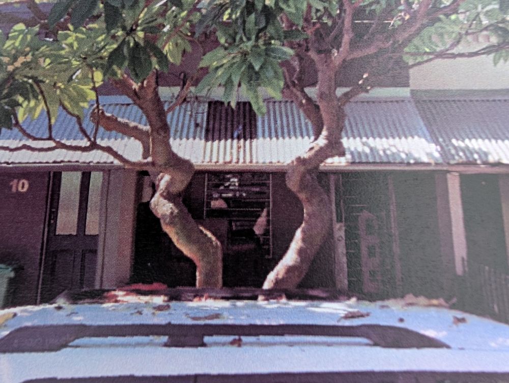 8 Flora Street, Erskineville